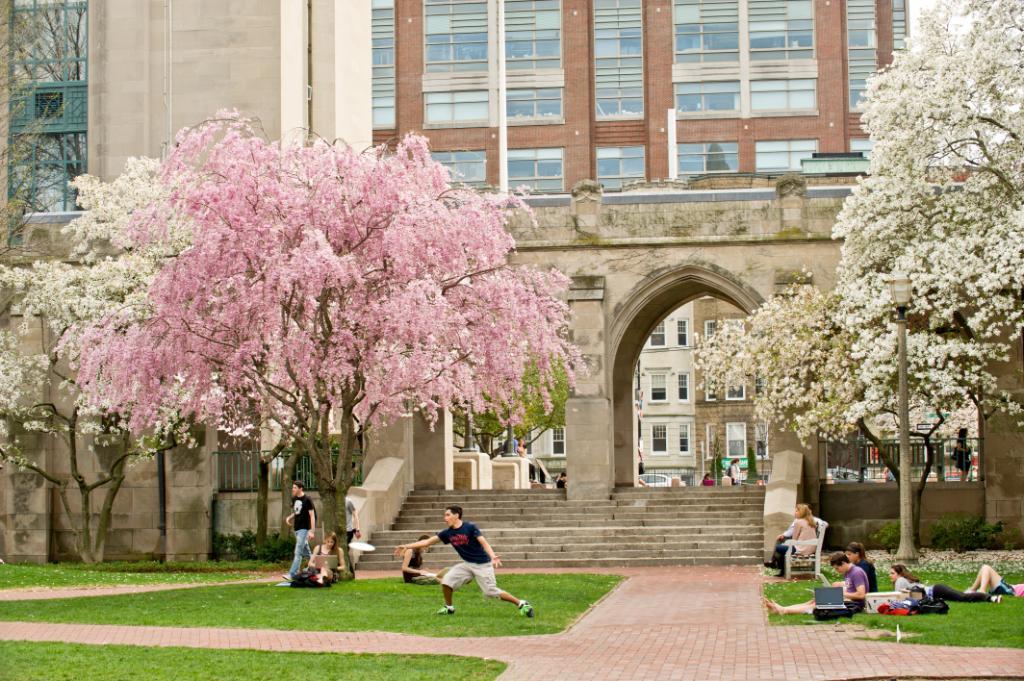 Boston University, the USA