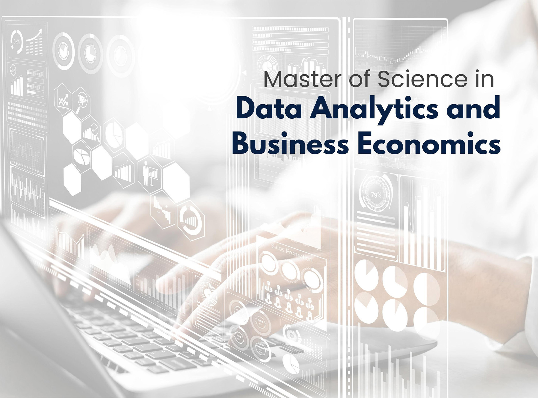 Master of Science in Data Analytics and Business Economics