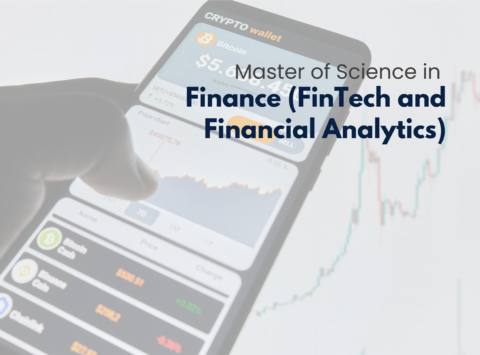 Master of Science in Finance (FinTech and Financial Analytics)